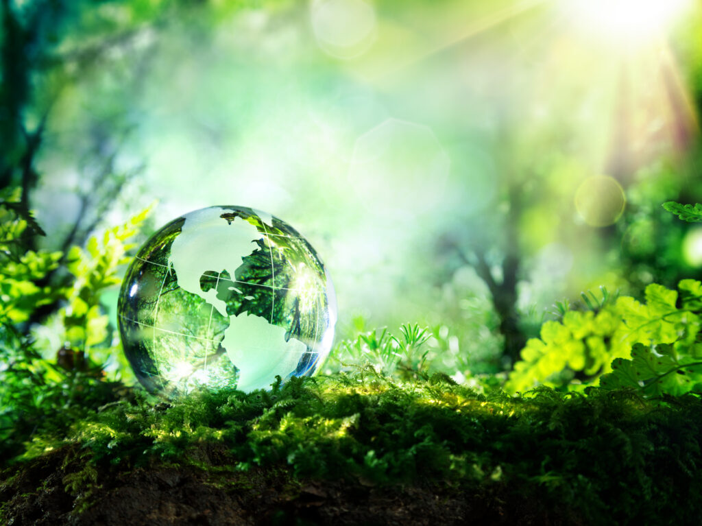Crystal,Globe,Resting,On,Moss,In,A,Forest,-,Environment